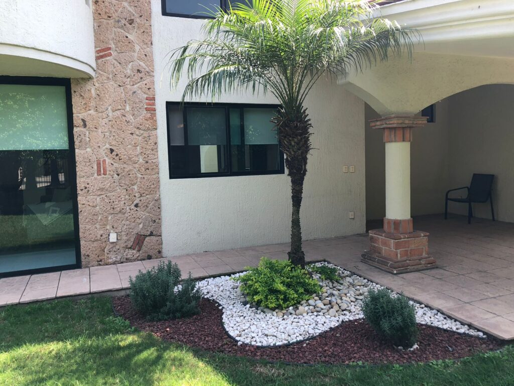 WhatsApp Image 2024-01-24 at 5.30.19 PM